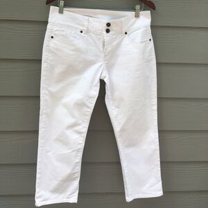Talbots Signature Crop Pants Size 6/28